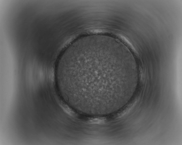 X0000115410447200911101615