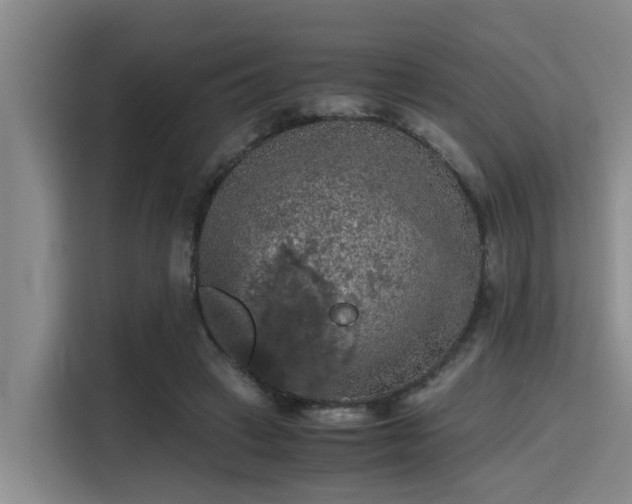 X0000115410449200911101615