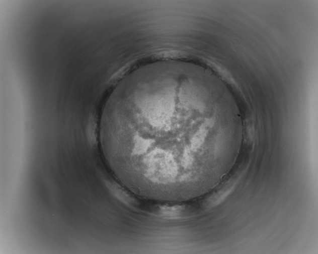 X0000115410450200911101615