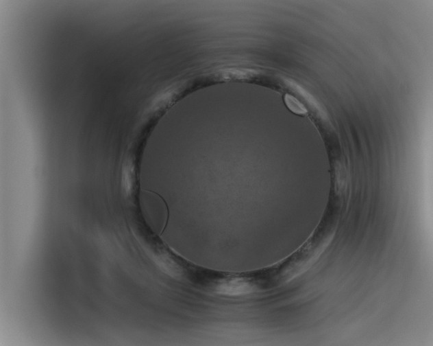 X0000115410451200911101615