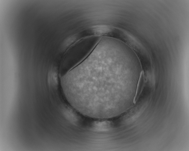 X0000115410452200911101615