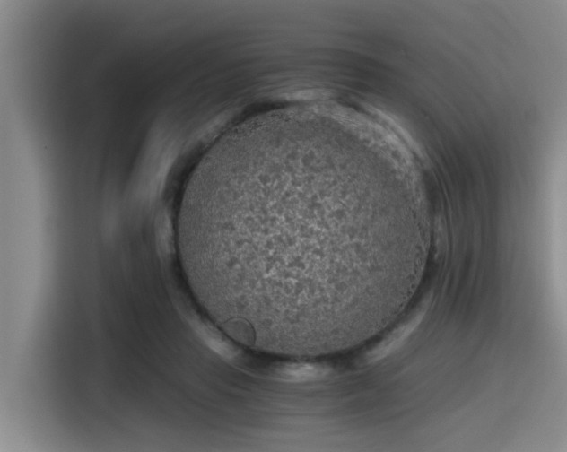 X0000115410453200911101615