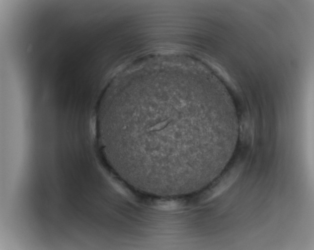 X0000115410454200911101615