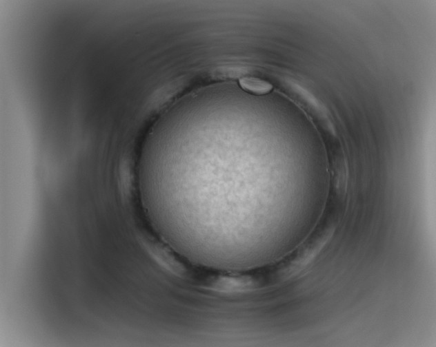X0000115410455200911101615