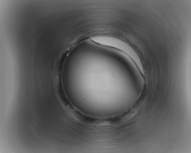 X0000115410456200911101615