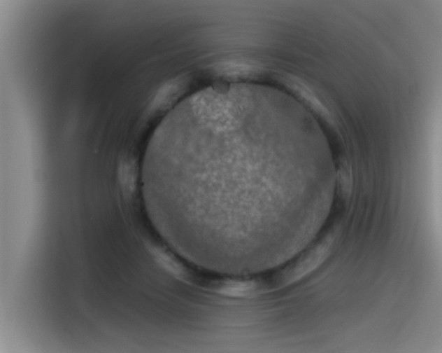 X0000115410458200911101615