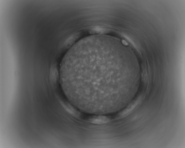 X0000115410459200911101615