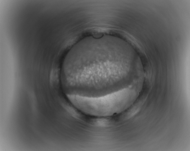 X0000115410462200911101615
