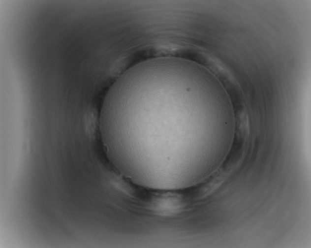 X0000115410463200911101615