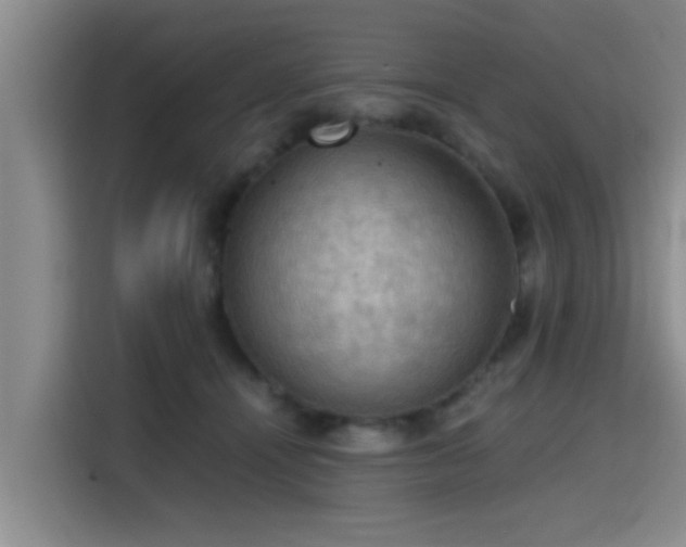 X0000115410464200911101615