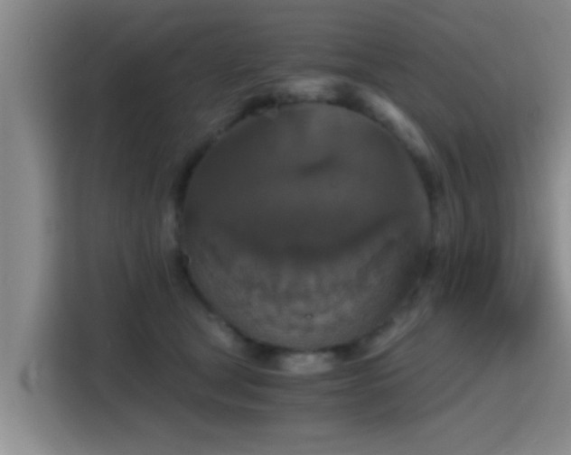 X0000115410465200911101615