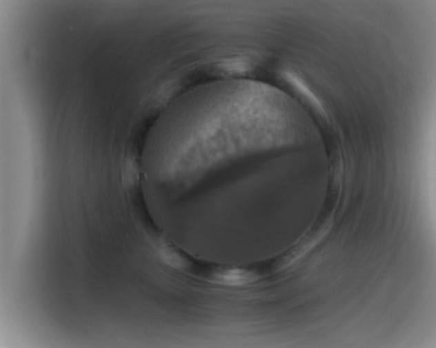 X0000115410467200911101615