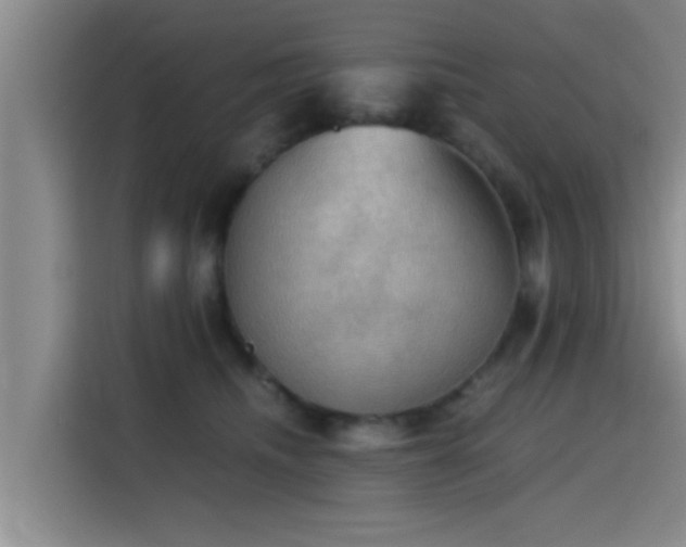 X0000115410468200911101615