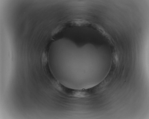 X0000115410471200911101615