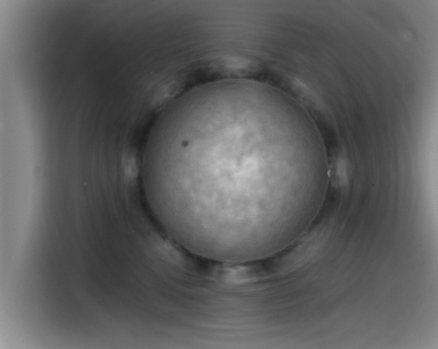 X0000115410472200911101615