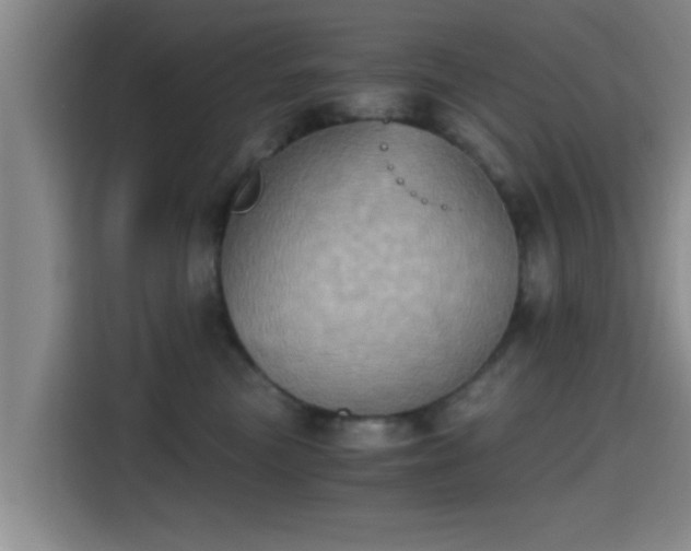 X0000115410473200911101615