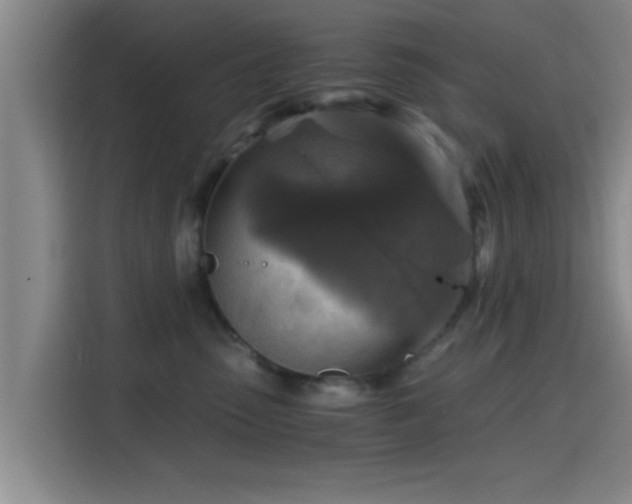 X0000115410475200911101615