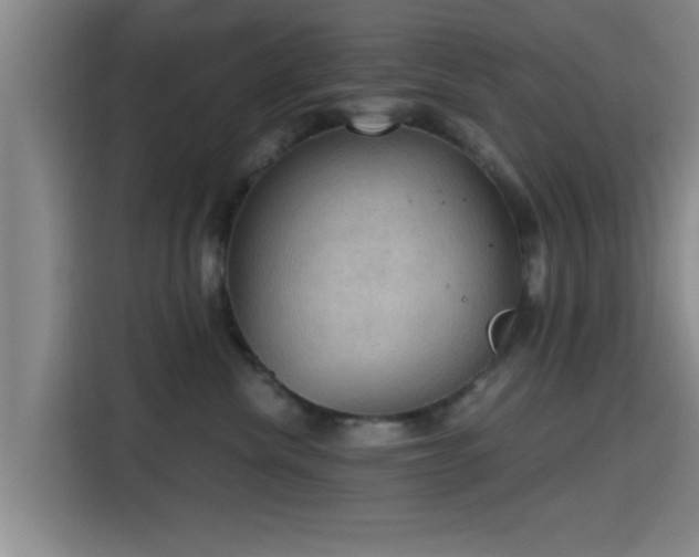 X0000115410476200911101615