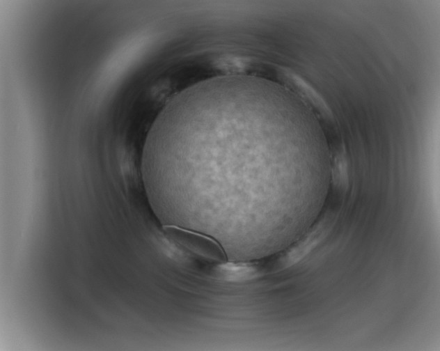 X0000115410477200911101615