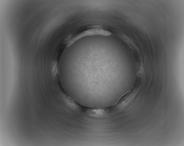 X0000115410478200911101615