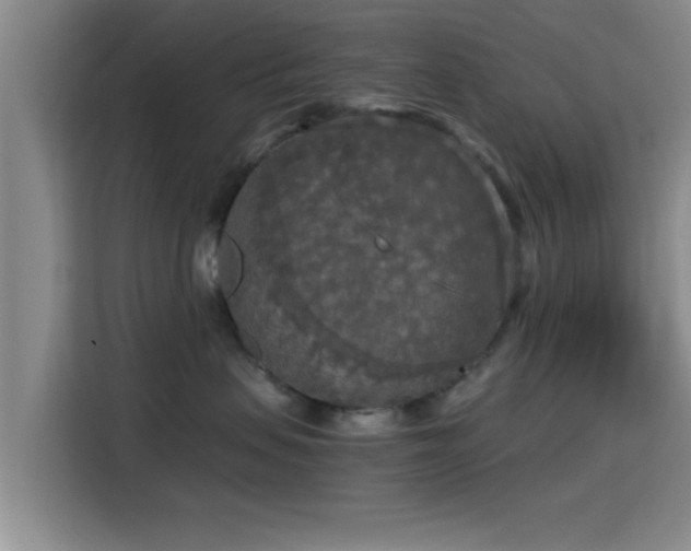 X0000115410479200911101615
