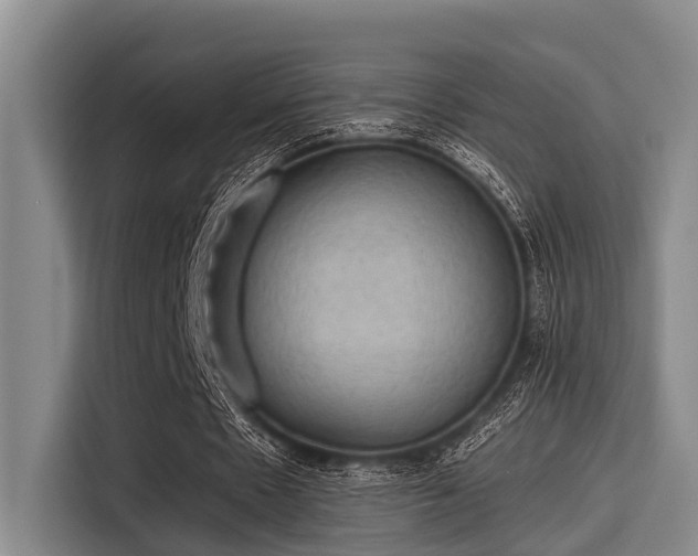 X0000115410481200911101614