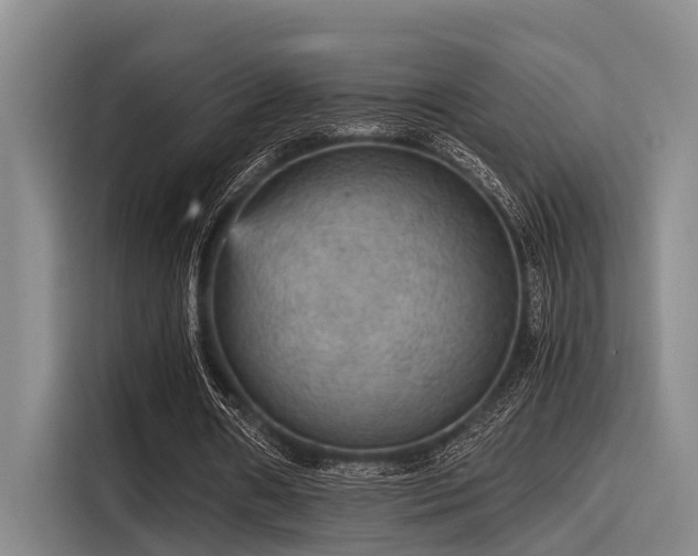X0000115410482200911101614