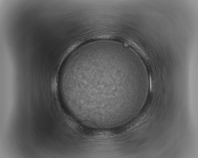 X0000115410483200911101614