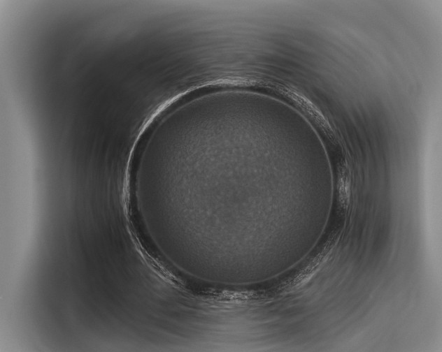 X0000115410484200911101614