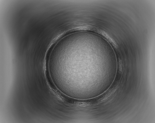 X0000115410486200911101614