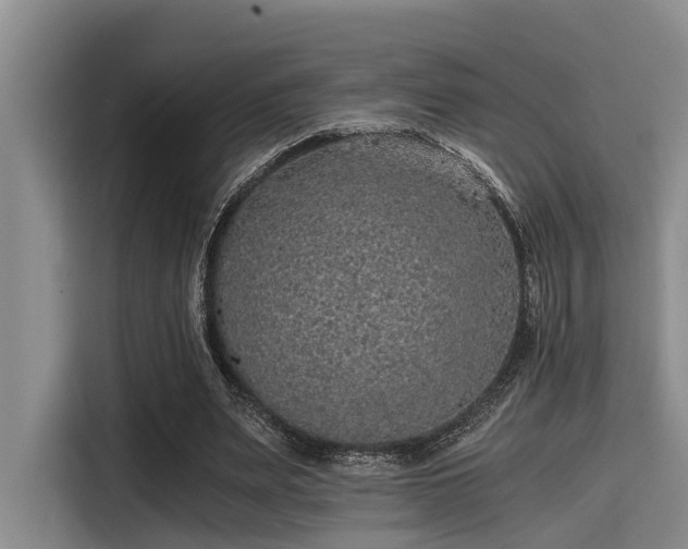 X0000115410487200911101614