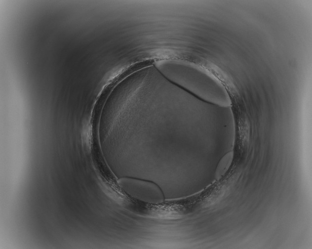 X0000115410488200911101614