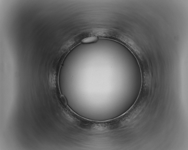 X0000115410489200911101614