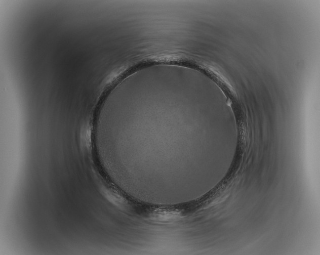 X0000115410491200911101614