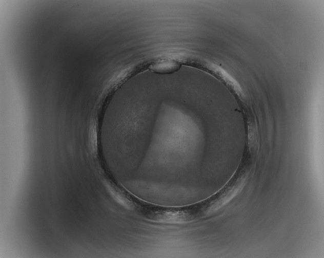 X0000115410493200911101614