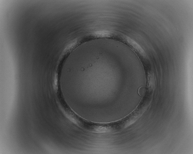 X0000115410494200911101614