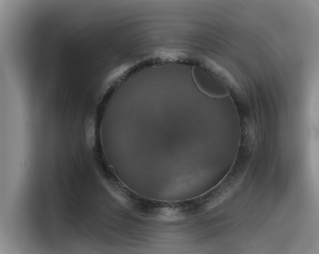 X0000115410496200911101614