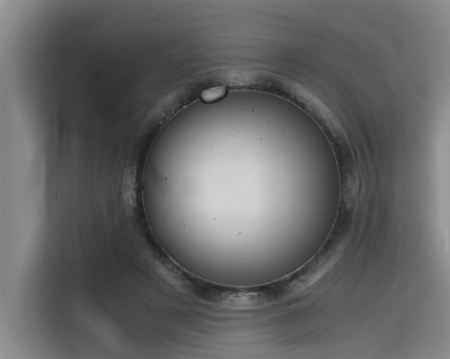 X0000115410497200911101614