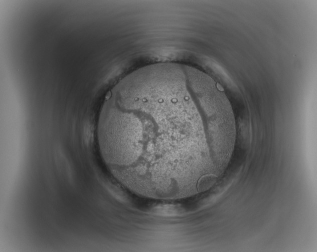 X0000115410499200911101614