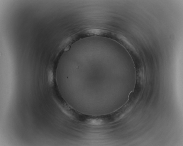X0000115410500200911101614