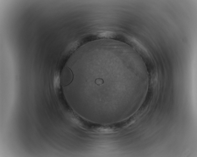 X0000115410502200911101614