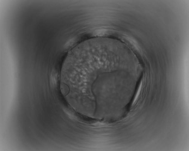 X0000115410503200911101614