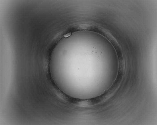 X0000115410505200911101614