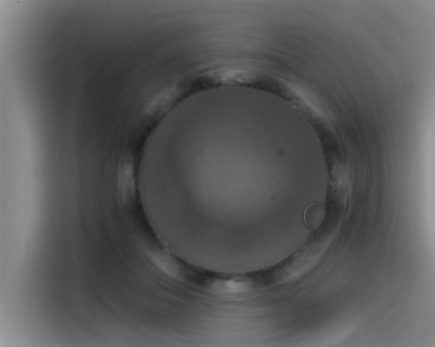 X0000115410506200911101614