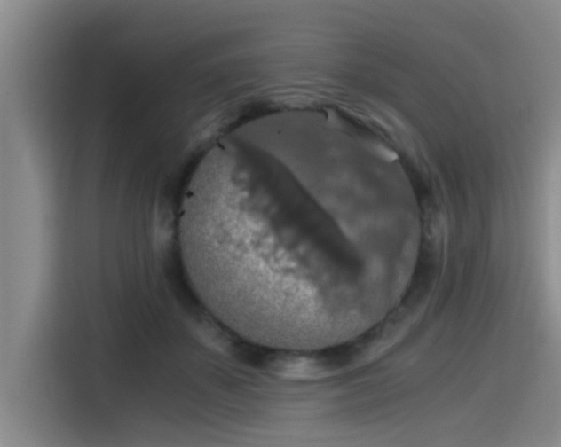 X0000115410507200911101614