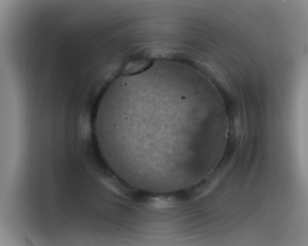 X0000115410508200911101614
