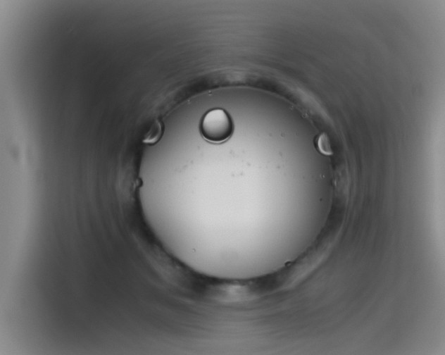 X0000115410509200911101614