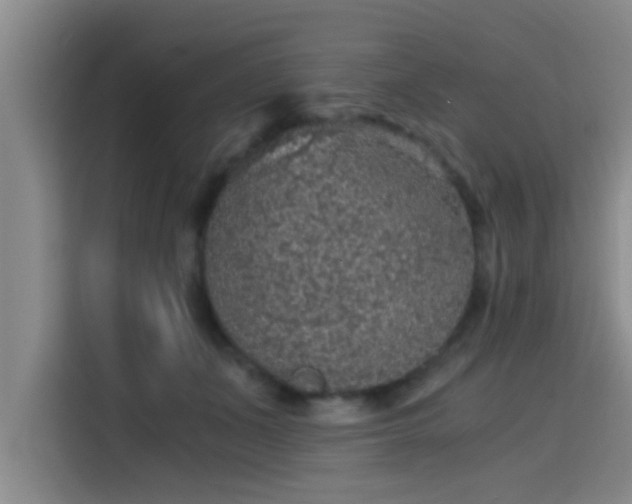 X0000115410511200911101614
