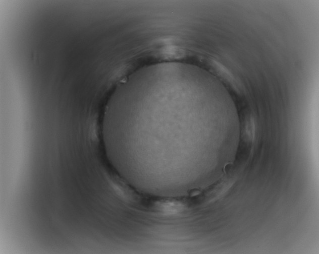X0000115410512200911101614