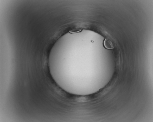 X0000115410513200911101614